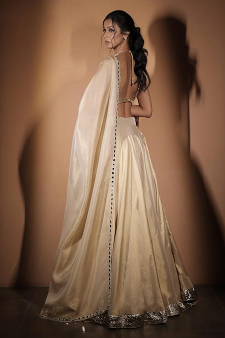 Vana Ethnics The Son Pari Embroidered Lehenga Set 