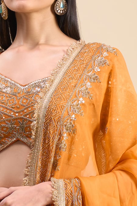 Samyukta Singhania_Orange Silk, Georgette Sequins, Cut Work, Embroidery Sweetheart Neck Lehenga Set_at_Aza_Fashions