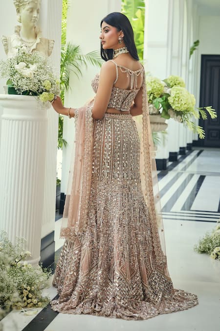 Isa By Dolly Wahal Walnut Crystal Embroidered Fishcut Lehenga Set 