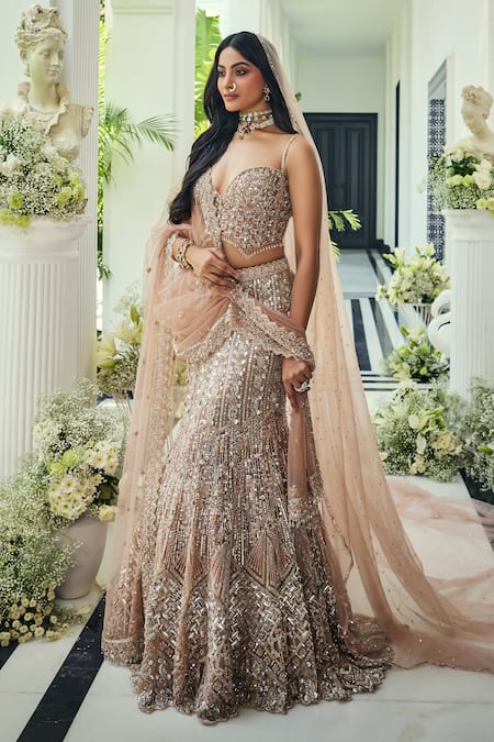 Isa By Dolly Wahal Walnut Crystal Embroidered Fishcut Lehenga Set 