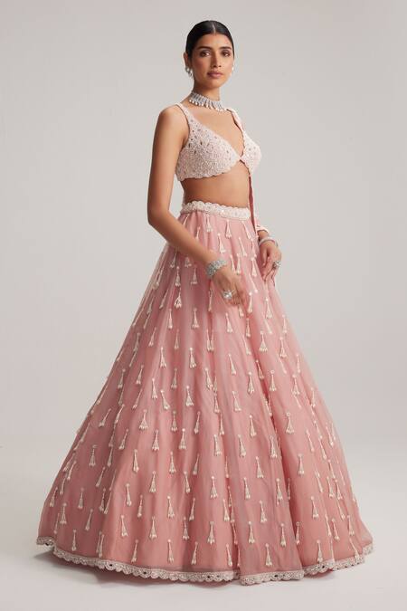 Vvani By Vani Vats_Pink Organza, Georgette Mirrors, Pearls, Tassels, Dusty Rose Long Lehenga Set _Online_at_Aza_Fashions