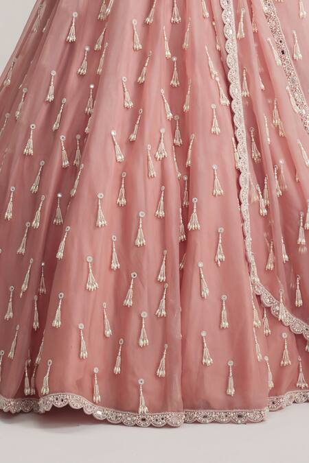 Shop_Vvani By Vani Vats_Pink Organza, Georgette Mirrors, Pearls, Tassels, Dusty Rose Long Lehenga Set _Online_at_Aza_Fashions