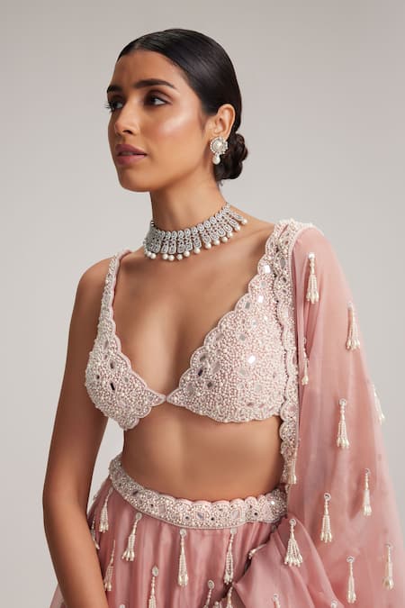 Vvani By Vani Vats_Pink Organza, Georgette Mirrors, Pearls, Tassels, Dusty Rose Long Lehenga Set _at_Aza_Fashions