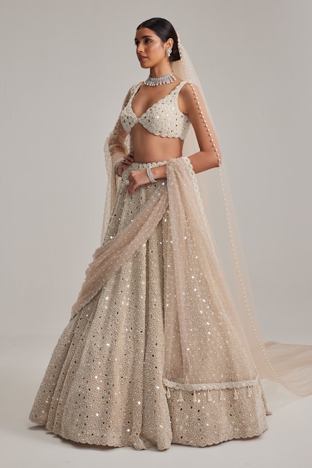 Shop_Vvani By Vani Vats_Beige Organza, Georgette, Net Mirrors, And Work Bridal Lehenga Set With Veil _Online_at_Aza_Fashions