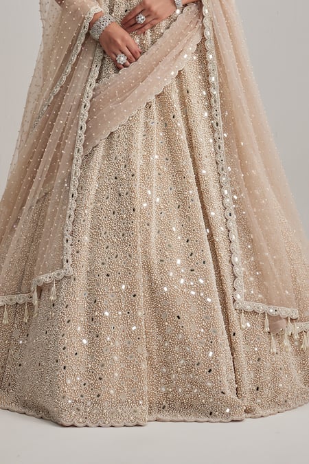 Buy_Vvani By Vani Vats_Beige Organza, Georgette, Net Mirrors, And Work Bridal Lehenga Set With Veil 