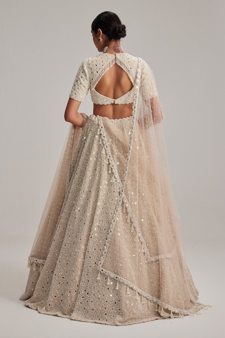 Vvani By Vani Vats Mirror & Pearl Work Bridal Lehenga Set With Veil 