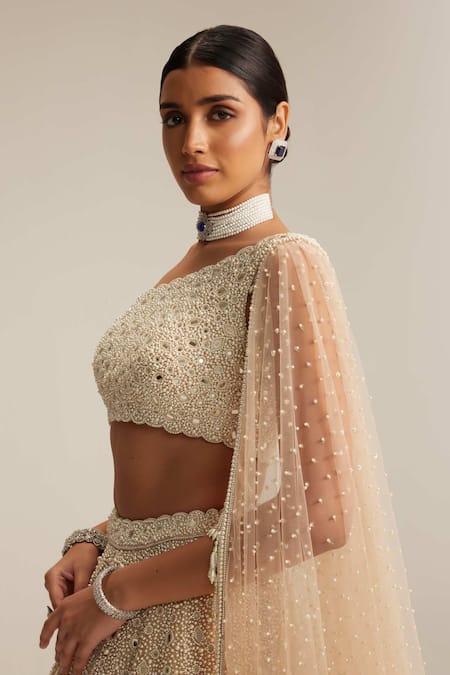 Vvani By Vani Vats Beige Organza, Georgette, Net Mirrors, Pearls, And Work Blouse Lehenga Set Online at Aza Fashions Vvani By Vani Vats_Beige Organza, Georgette, Net Mirrors, Pearls, And Work Blouse Lehenga Set _Online_at_Aza_Fashions