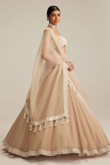 Vvani By Vani Vats_Beige Organza, Georgette Mirrors, Pearls, Embroidery, Tassels Lehenga Set _Online_at_Aza_Fashions