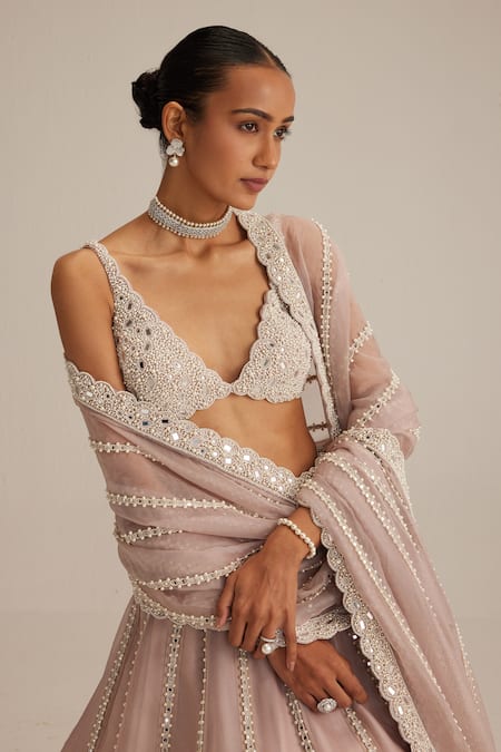 Buy_Vvani By Vani Vats_Pink Organza, Georgette Embroidery, Mirrors, Pearls, Ash Linear Lehenga Set _Online_at_Aza_Fashions