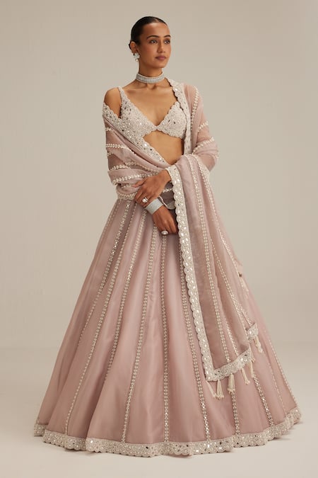 Vvani By Vani Vats Ash Pink Pearl Mirror Linear Lehenga Set 