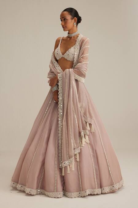 Vvani By Vani Vats_Pink Organza, Georgette Embroidery, Mirrors, Pearls, Ash Linear Lehenga Set _at_Aza_Fashions