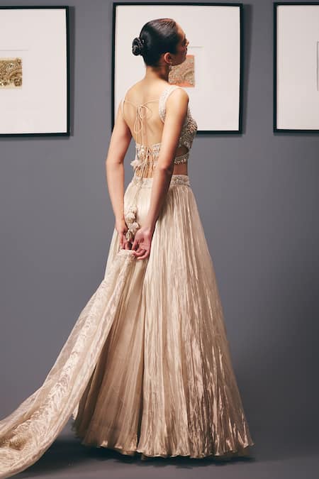 Sana Barreja Water Lilies Pleated Lehenga Set 