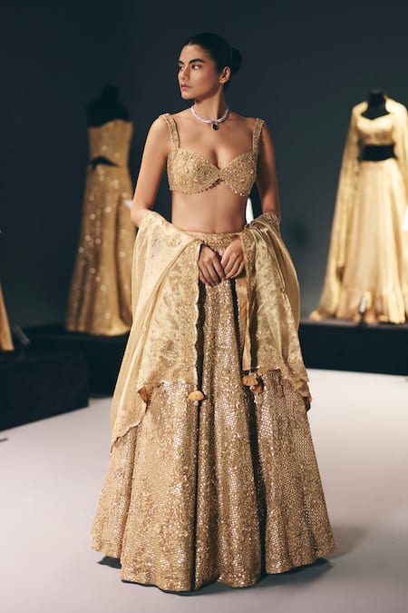 Sana Barreja The Dream Embroidered Lehenga Set 