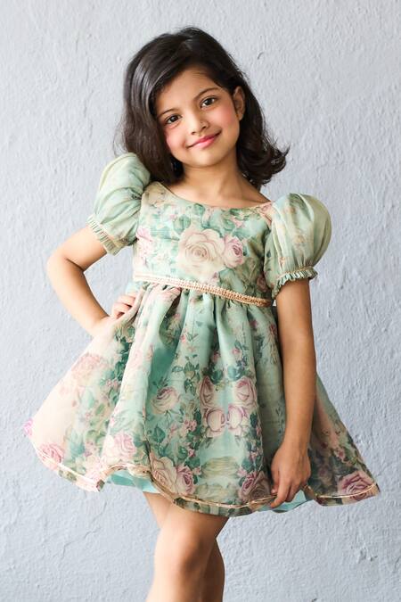 Pinkcow designs pvt ltd_Green Organza Lace Floral Print Puff Sleeve A-line Dress _Online_at_Aza_Fashions