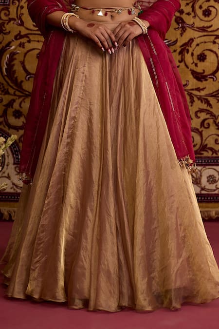 Meesa_Beige Tissue, Organza Mirrors, Sequins, Embroidery, Gota Blouse Lehenga Set _Online_at_Aza_Fashions