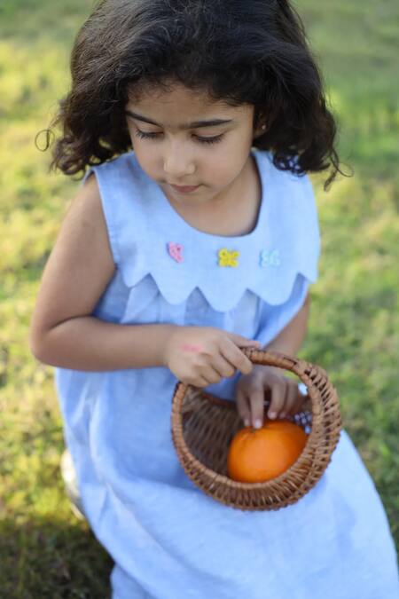 Buy_Funny Bones Clothings_Sky Blue Linen Applique Whispering Butterflies Pure Dress _Online_at_Aza_Fashions