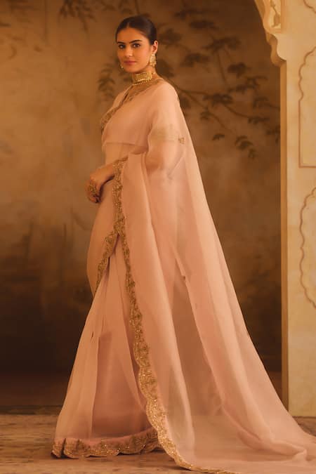 AFRIYA Organza Hand Work Saree With Chanderi Blouse 