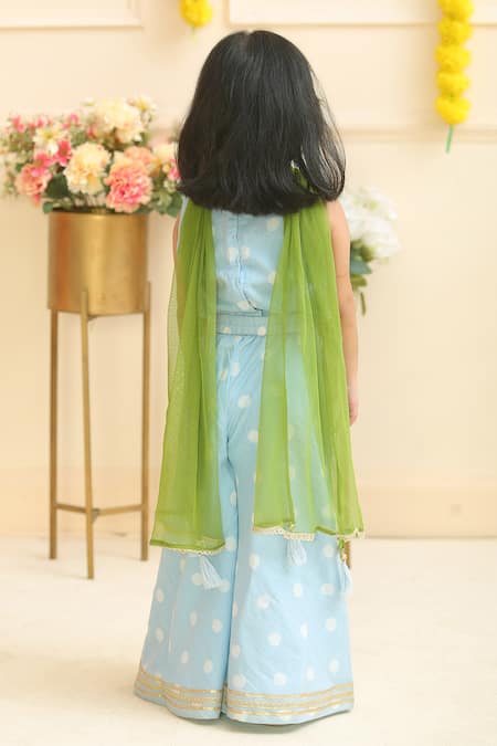 Pankhuri By Priyanka Hand Block Print Blouse Palazzo Set 