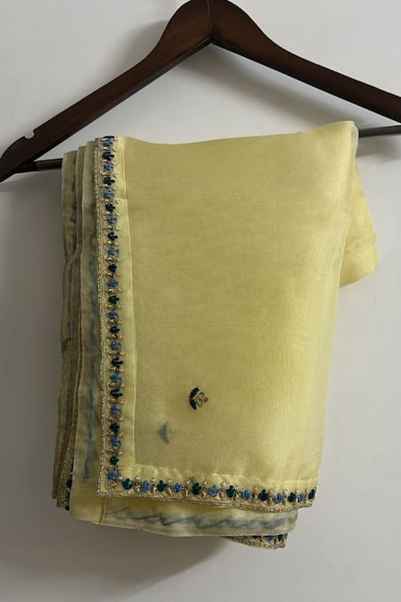 Buy_Aavya_Sky Blue Silk, Shantoon, Organza Embroidery, Zari Floral Anarkali Pant Set _Online_at_Aza_Fashions