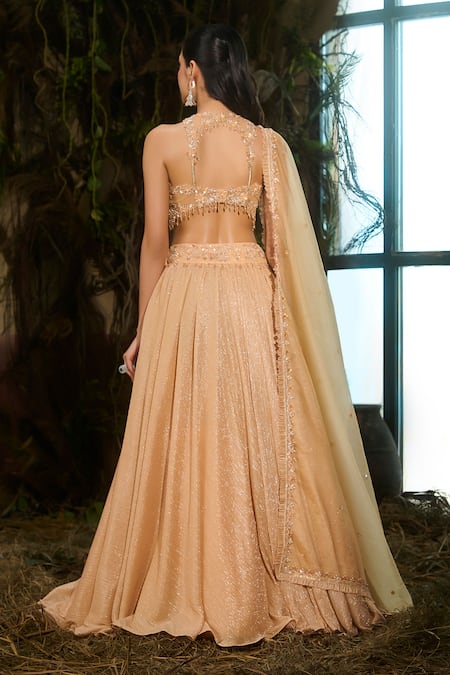 Shashank Arya Crystal & Sequins Embroidered Lehenga Set 