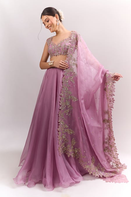 Anushree Reddy Chamak Pico Embroidered Blouse Skirt Set 