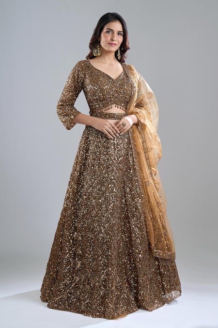 Azeera Tonal Embroidered Lehenga Set 