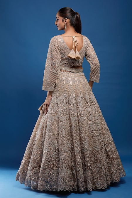 Samyukta Singhania Embroidered Net Lehenga Set 