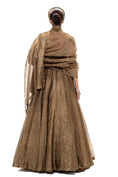 Mimamsaa Shereen Handwoven & Embroidered Lehenga Set 