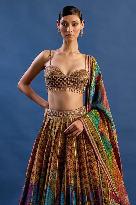 Cedar & Pine_Multi Color Tissue, Brocade Crystals, Zari, Paradisso Printed Lehenga Set _Online_at_Aza_Fashions