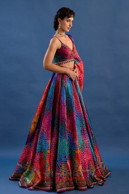 Cedar & Pine_Multi Color Organza, Brocade Zari, Embroidery, Beads, Betty Printed Lehenga Set _Online_at_Aza_Fashions