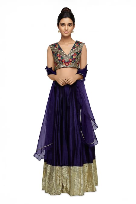Neha Khullar Blue Raw Silk, Organza V Neck Embroidered Lehenga Set