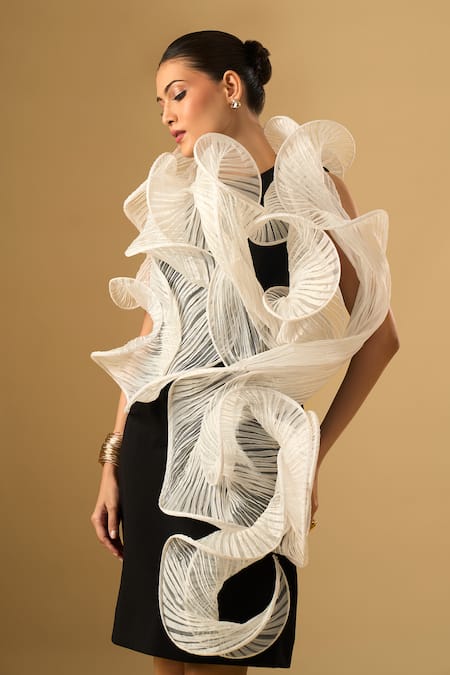 Ritika Arya Jain_Black Round Neck Noir Et Blanc Structured Dress _at_Aza_Fashions