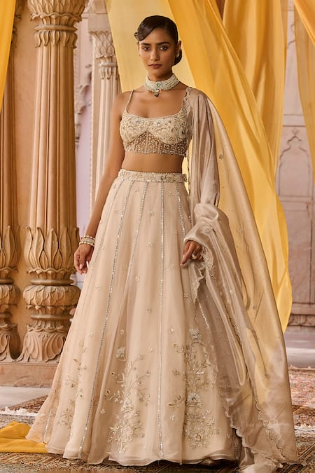 Zoon Aari Embroidered Organza Lehenga Set 