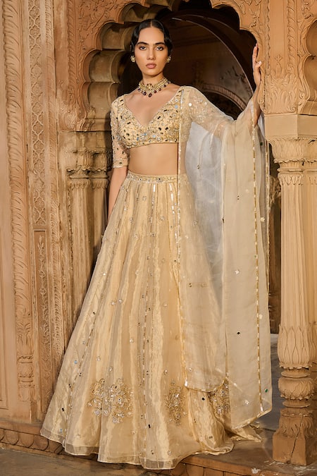 Zoon_Gold Net, , Tissue, Organza Embroidery, Mirrors, Aari Hand Lehenga Set _Online_at_Aza_Fashions
