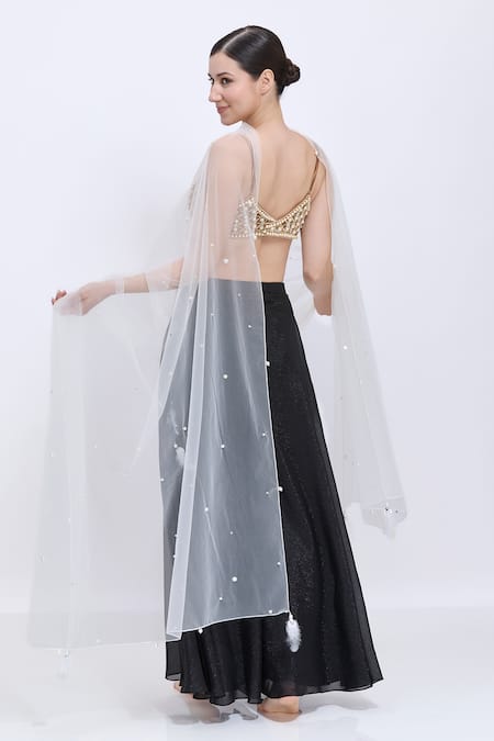 Dilnaz Hand Embroidered Pearl Sprinkling Dupatta 