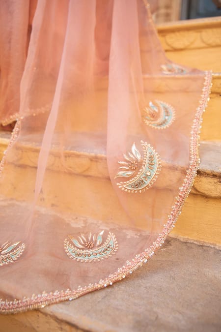 Buy Amoree india Peach Organza Applique, Beads, Sequins, Zari, Blossom Saree With Blouse Online at Aza Fashions Buy_Amoree india_Peach Organza Applique, Beads, Sequins, Zari, Blossom Saree With Blouse _Online_at_Aza_Fashions