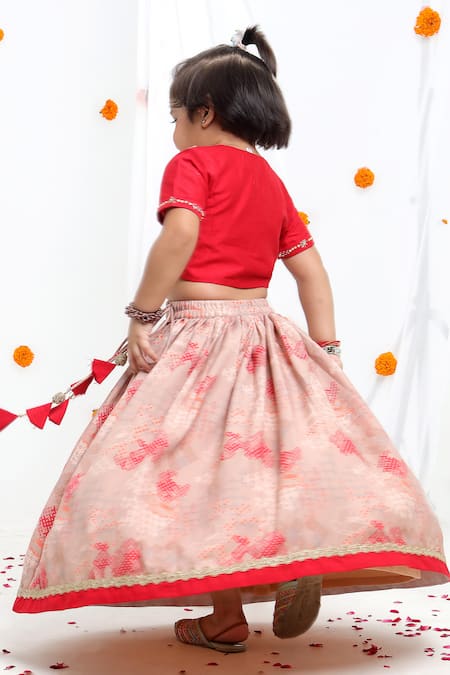 Little Brats Printed Lehenga & Embroidered Blouse Set 