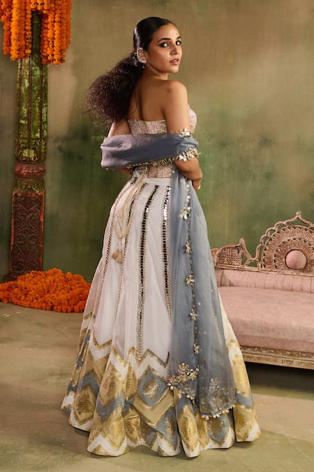 Reeti Arneja Chamkeeli Banarasi Corset & Sharara Set 