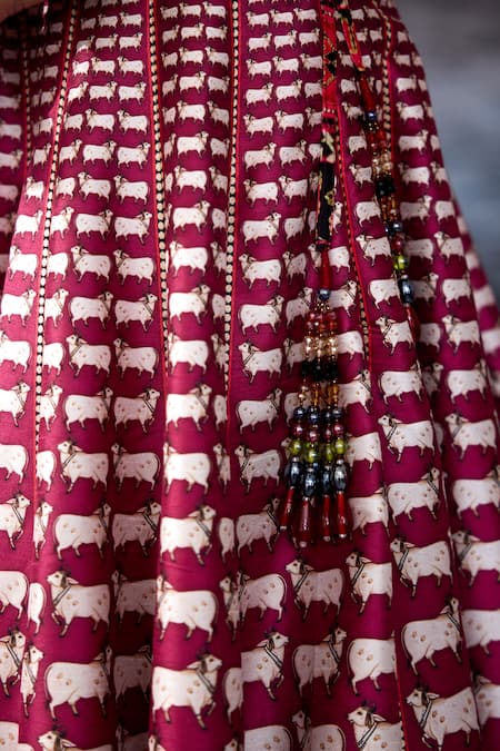 Rajdeep Ranawat_Fuchsia Dupion, Modal, Satin Tassels, Bethari Rubali Leela Skirt With Top _at_Aza_Fashions