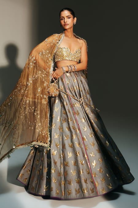 Mahima Mahajan Hina Banarasi Bird Motif Embroidered Lehenga Set 