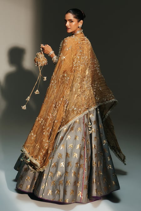 Mahima Mahajan Hina Banarasi Bird Motif Embroidered Lehenga Set 