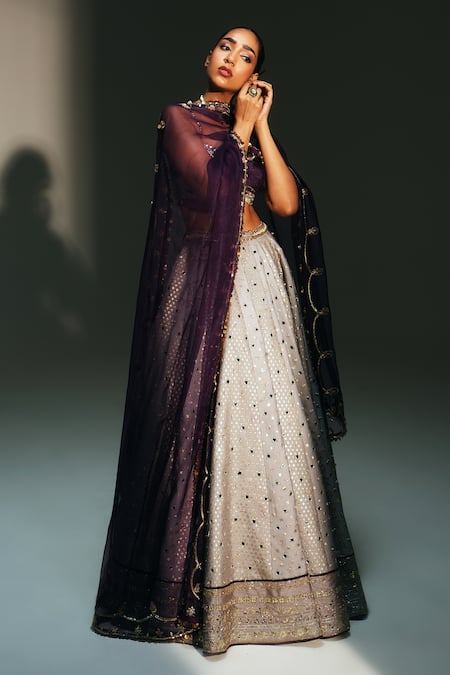 Mahima Mahajan Leela Hand Embroidered Kali Lehenga Set 