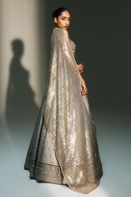 Mahima Mahajan Gray Chanderi Embroidery, Sequins, Zari, Tassels Chandani Hand Kali Lehenga Set at Aza Fashions Mahima Mahajan_Gray Chanderi Embroidery, Sequins, Zari, Tassels Chandani Hand Kali Lehenga Set _at_Aza_Fashions