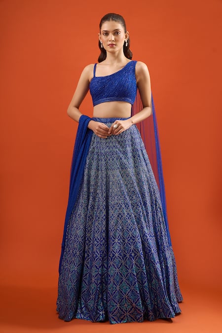 Seema Gujral 
Embroidered Lehenga With Blouse 