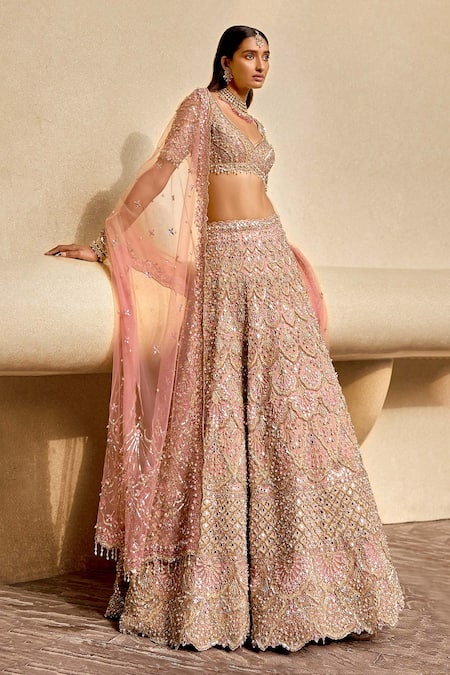 Tamanna Punjabi Kapoor Embellished Lehenga Set 