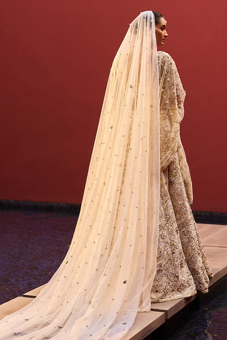 Tamanna Punjabi Kapoor Embellished Lehenga Blouse Set 