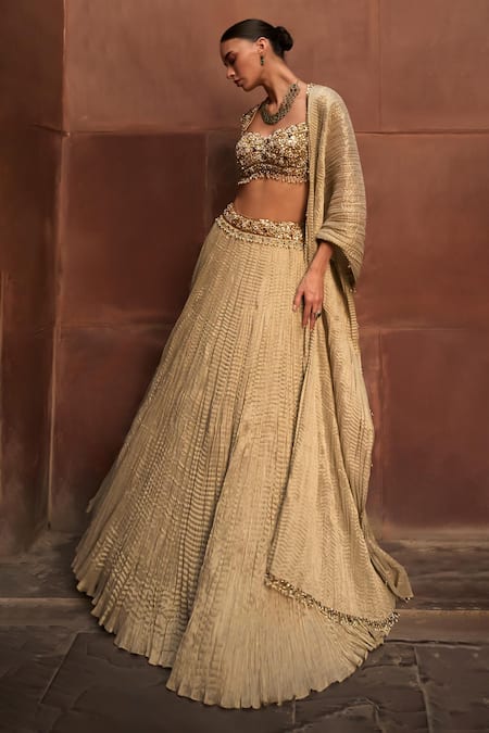 Tamanna Punjabi Kapoor Crushed Lehenga & Embroidered Blouse Set 