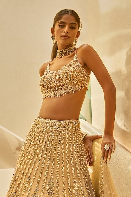 Tamanna Punjabi Kapoor Embellished Tulle Lehenga Set 