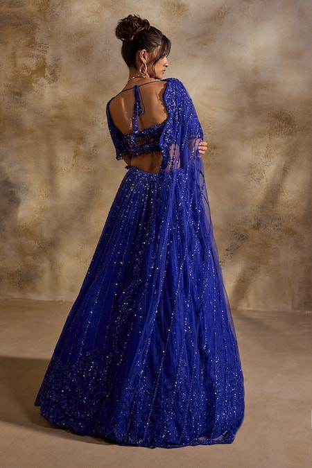Nitika Gujral_Blue Organza, Net Beads, Crystals, Sequins, Embellished Electric Lehenga Set _Online_at_Aza_Fashions