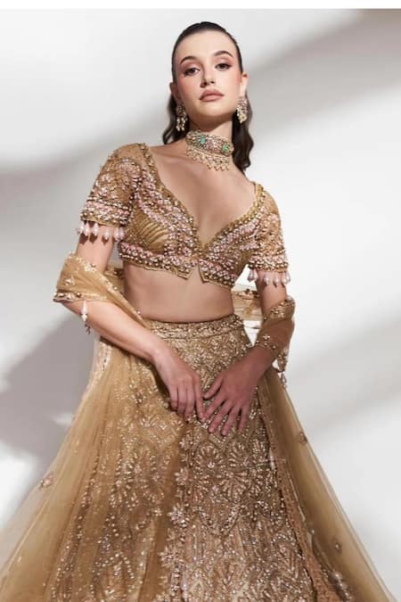 Anshika Tak Label_Gold Net Sequins, Beads, Embroidery, Pearls V-neck Bridal Lehenga Set _Online_at_Aza_Fashions